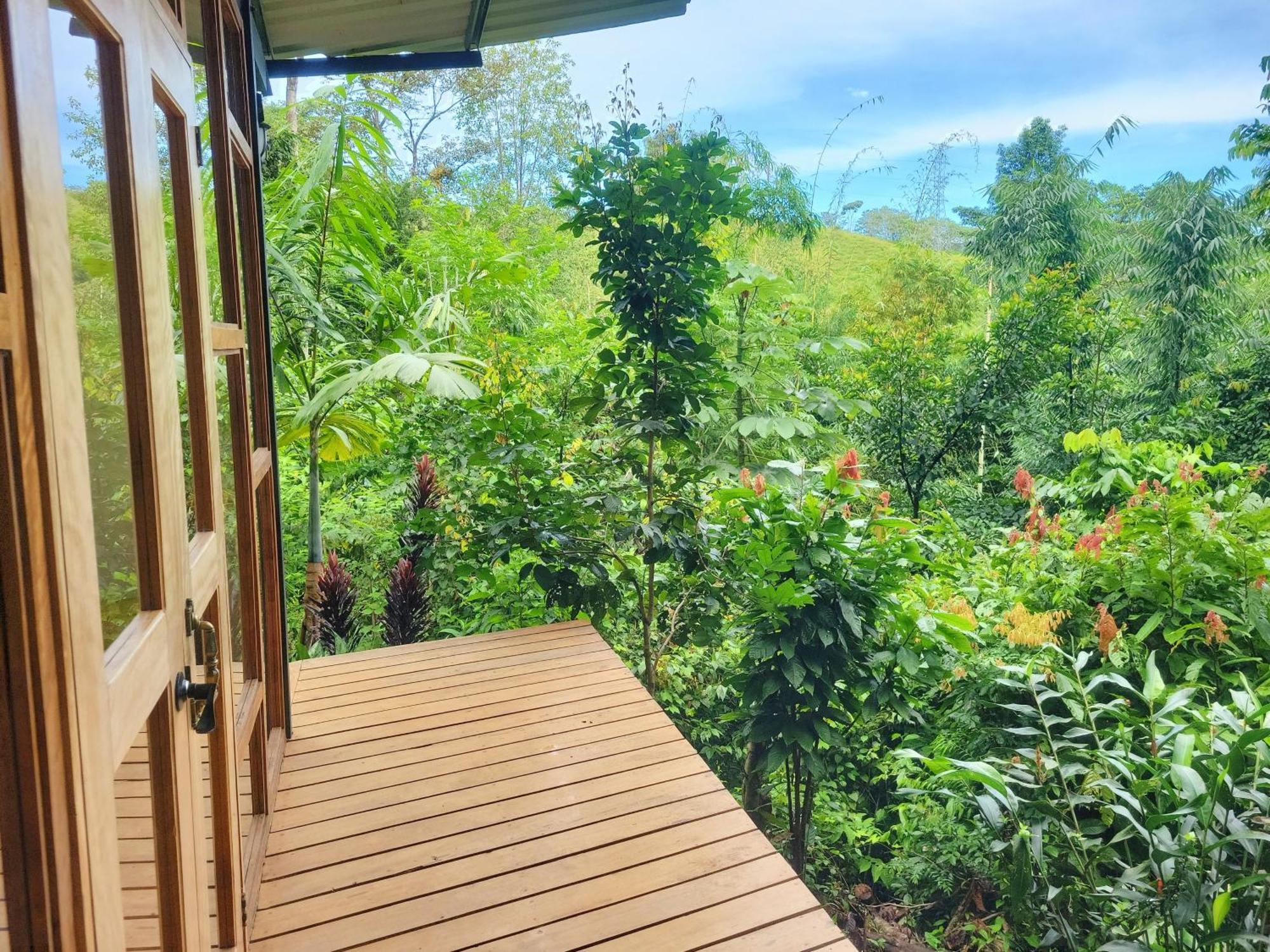 Villa Cascada Elysiana Platanillo Zimmer foto